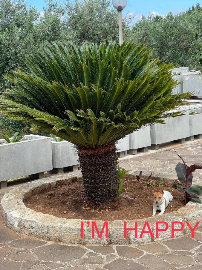 Happy'S Casa Ξενοδοχείο Putignano Εξωτερικό φωτογραφία